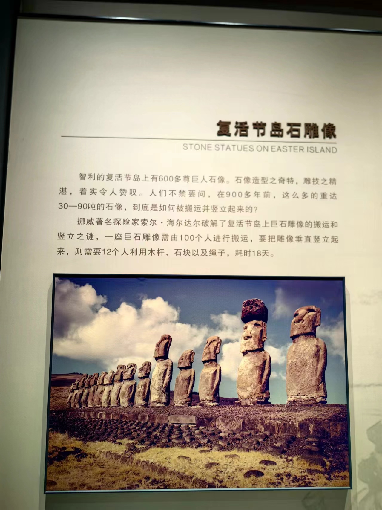 65c81c9e0a63db77c9a8b88fa648ece.jpg